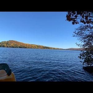 Meet your Posher, Janice